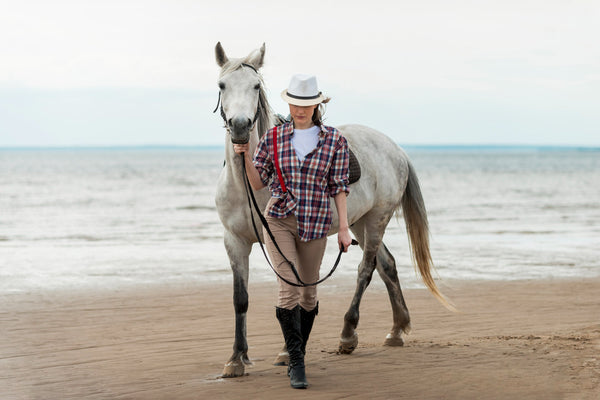 Beginner’s Guide to Horseback Riding: What You Need to Know