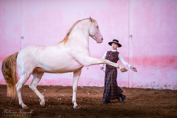 The Benefits of Cross-Training for Horses