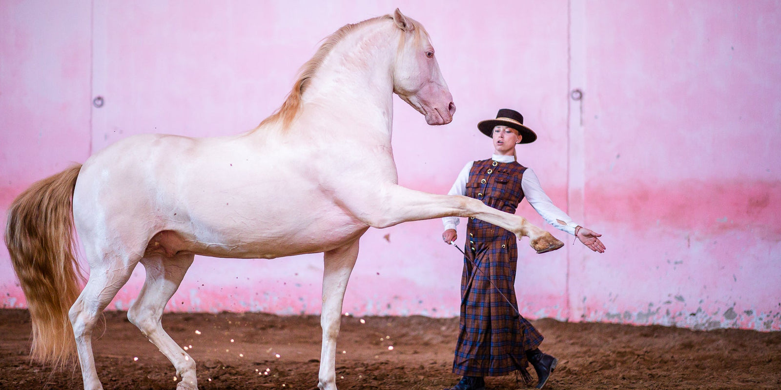 The Benefits of Cross-Training for Horses