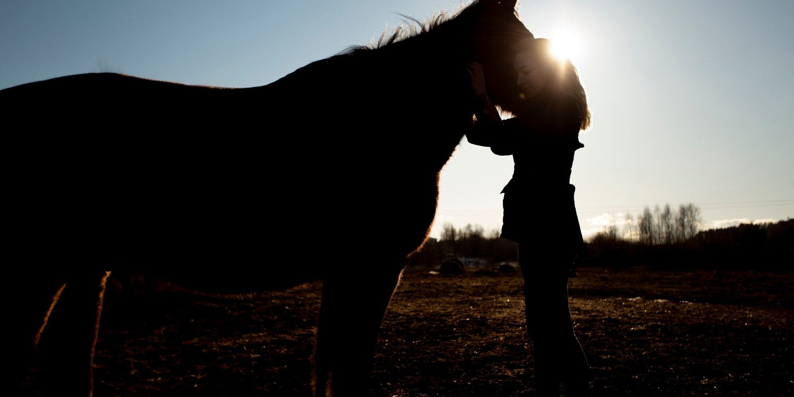 The Importance of Proper Warm-Up and Cool-Down for Horses