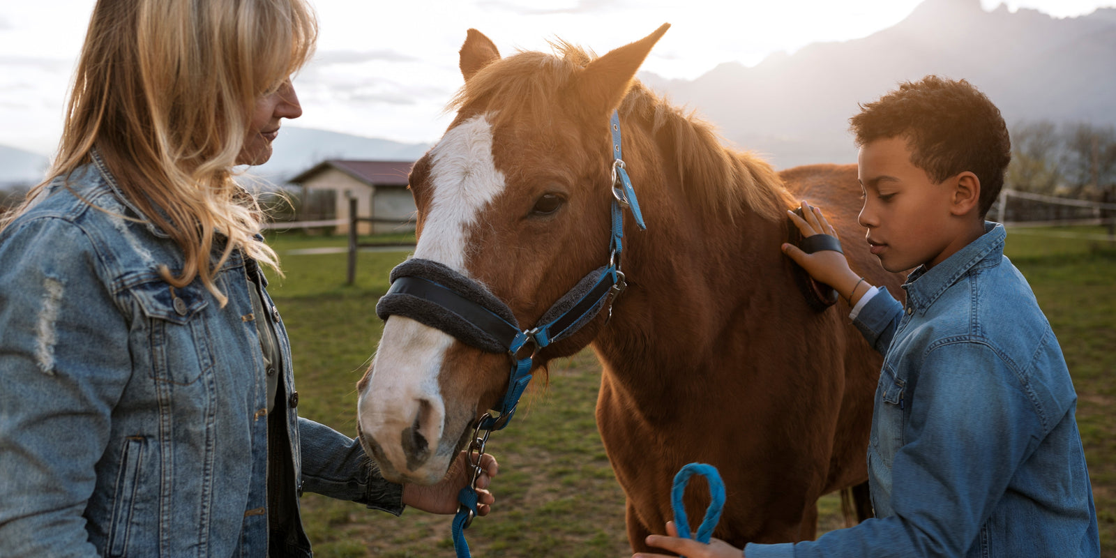 The Top 5 Training Techniques for a Well-Behaved Horse