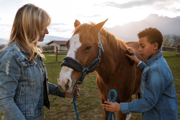 How to Build a Strong Bond with Your Horse