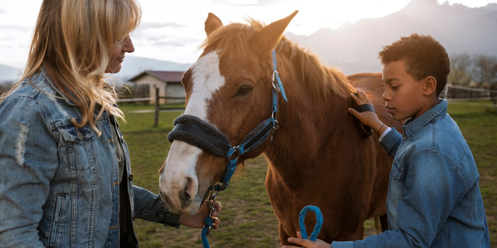 How to Build a Strong Bond with Your Horse