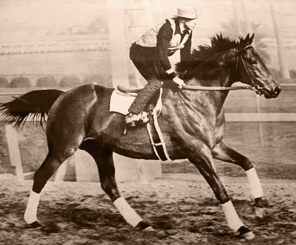 Famous Horses in History and What Made Them Special