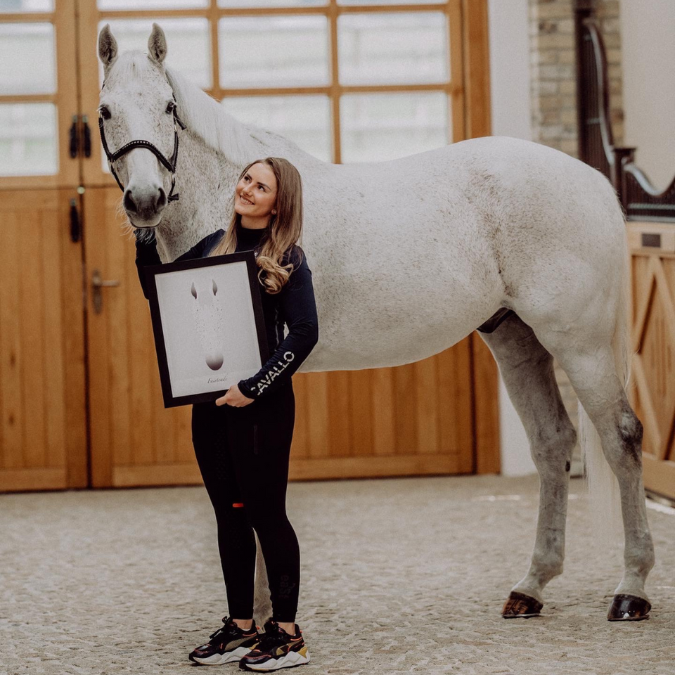 Horse Portraits for Every Home