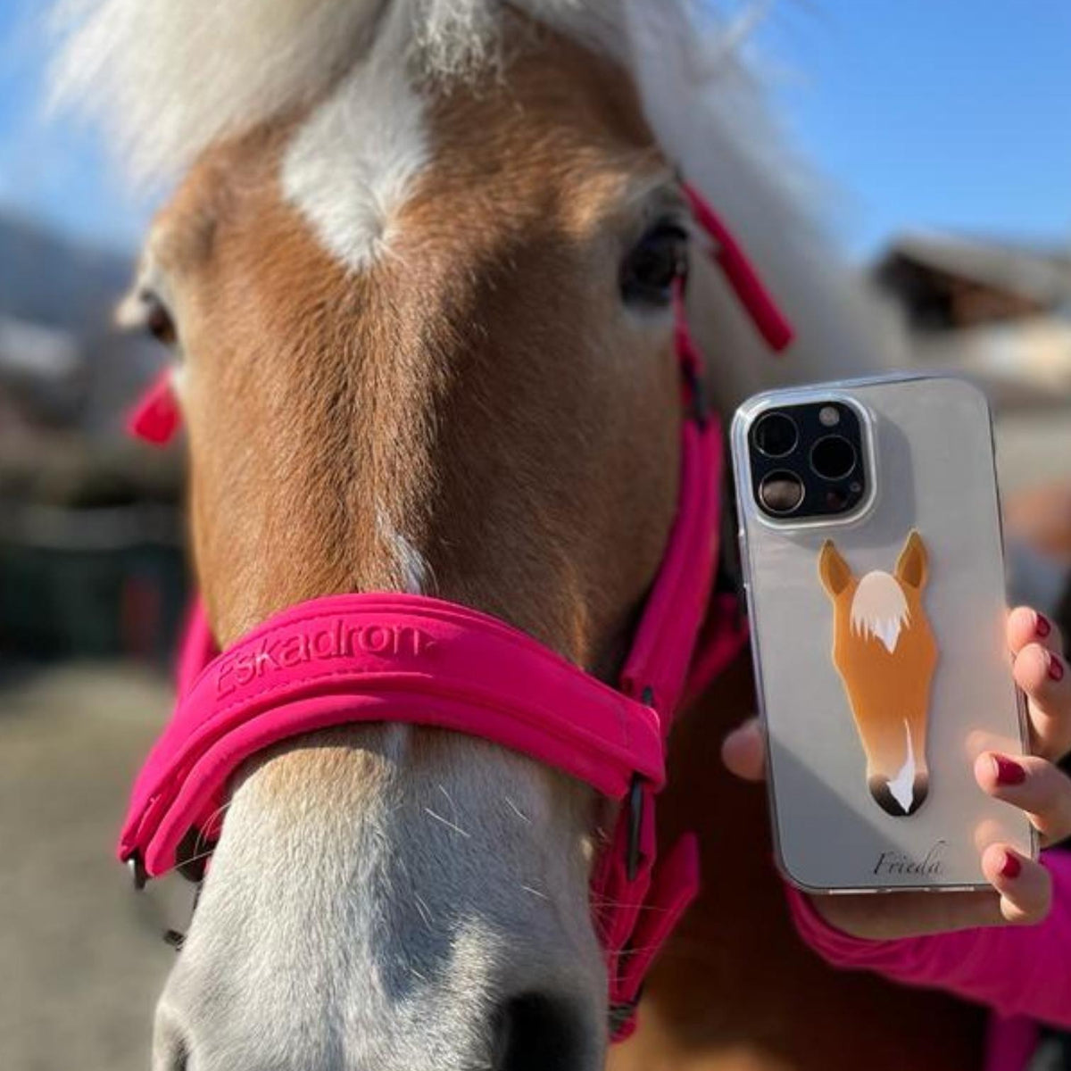 Custom Horse Portrait Phone Case