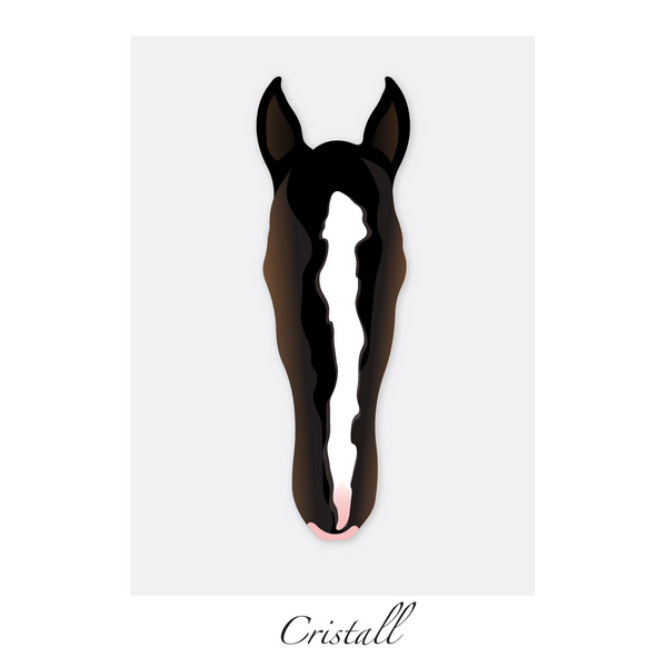 Modern Horse Portrait