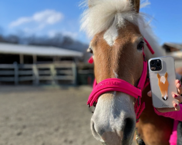 Personalized Horse-Poster