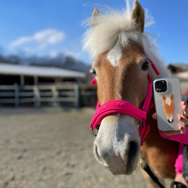 Personalized Horse-Poster